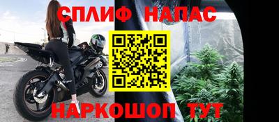 PSILOCYBIN Малгобек