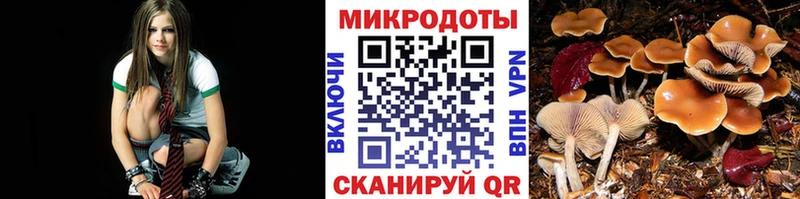 Псилоцибиновые грибы мицелий  Шахты 