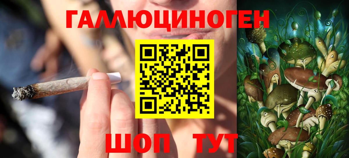 Галлюциногенные грибы прущие грибы Шахты