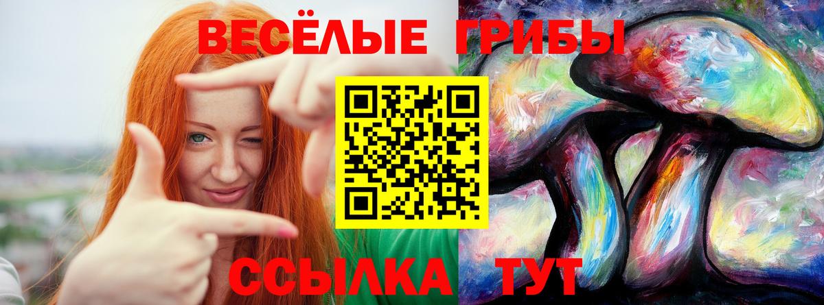 Псилоцибиновые грибы прущие грибы  Вход с VPN  купить   Шахты 